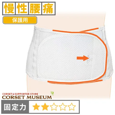 慢性腰痛|プロソフト100