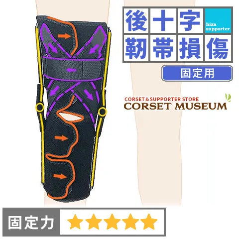 後十字靭帯損傷|ニーケアー・PCL