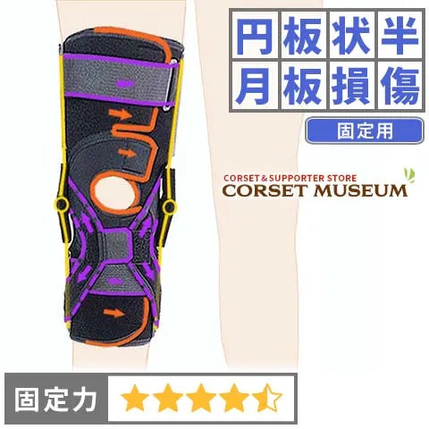円板状半月板損傷|エクスエイドニーACL