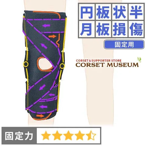 円板状半月板損傷|エクスエイドニーMCL&LCL