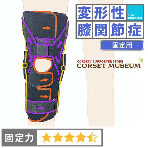 変形性膝関節症|エクスエイドニーPCL – コルセットミュージアム 変形性膝関節症|エクスエイドニーPCL – コルセットミュージアム