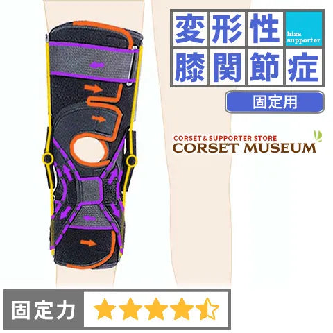 変形性膝関節症|エクスエイドニーACL