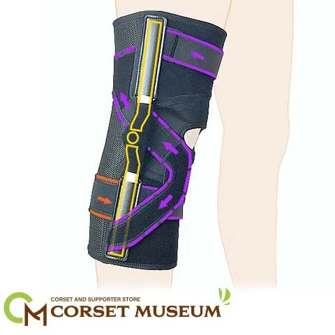 変形性膝関節症|エクスエイドニーACL