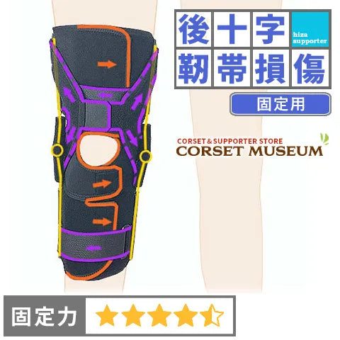 後十字靭帯損傷|エクスエイドニーPCL