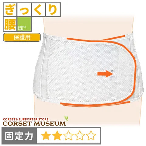 ぎっくり腰|プロソフト100
