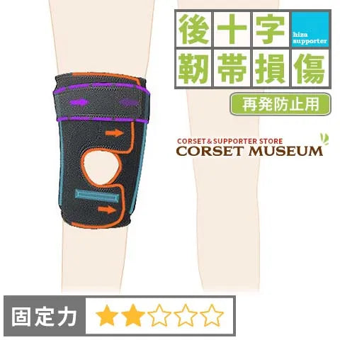 後十字靭帯損傷(PCL) – コルセットミュージアム 後十字靭帯損傷(PCL) – コルセットミュージアム