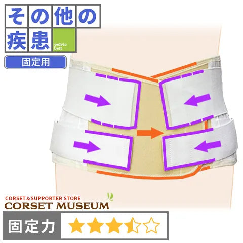 その他の疾患｜マックスベルトse