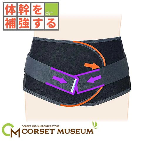 体幹を補強する｜プロハード