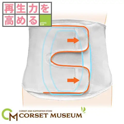 再生力を固める｜マックスベルトFR