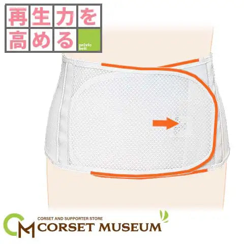 再生力を固める｜プロソフト100